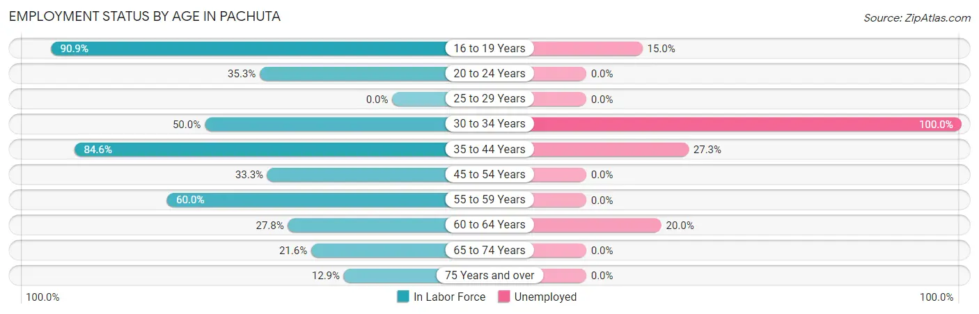 Employment Status by Age in Pachuta
