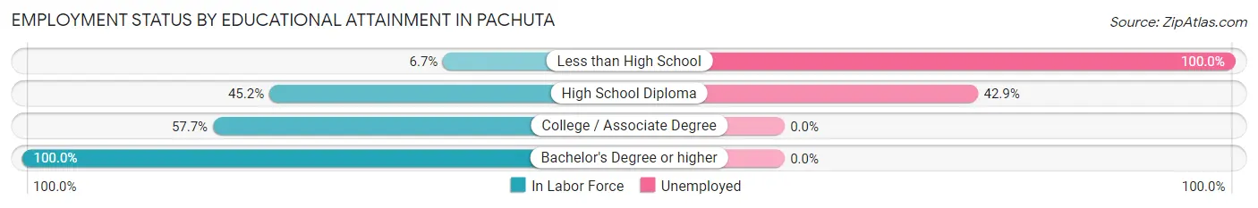Employment Status by Educational Attainment in Pachuta