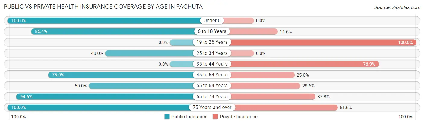 Public vs Private Health Insurance Coverage by Age in Pachuta