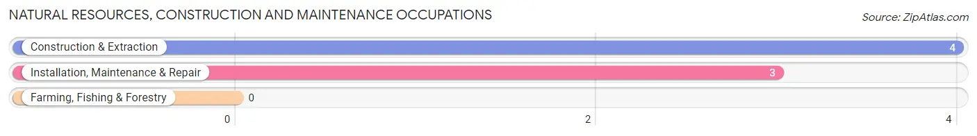 Natural Resources, Construction and Maintenance Occupations in Paden