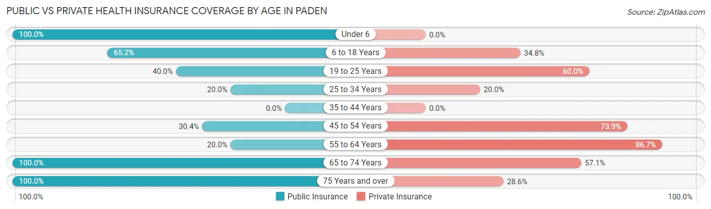 Public vs Private Health Insurance Coverage by Age in Paden