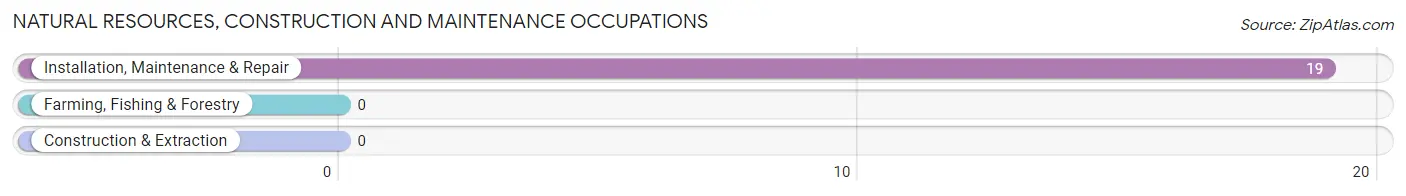 Natural Resources, Construction and Maintenance Occupations in Pass Christian