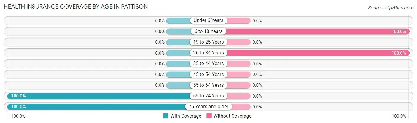 Health Insurance Coverage by Age in Pattison