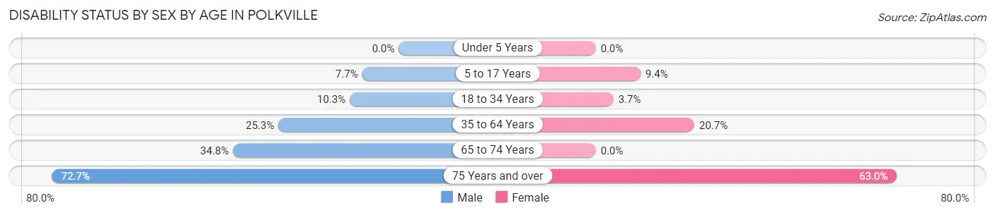 Disability Status by Sex by Age in Polkville