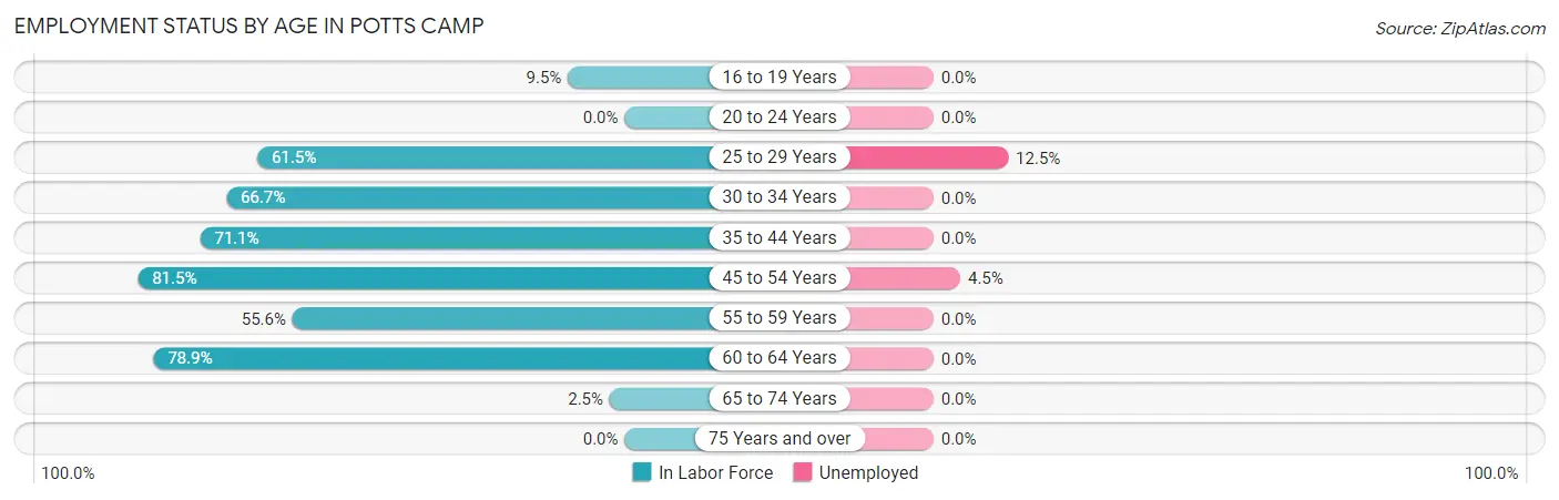 Employment Status by Age in Potts Camp