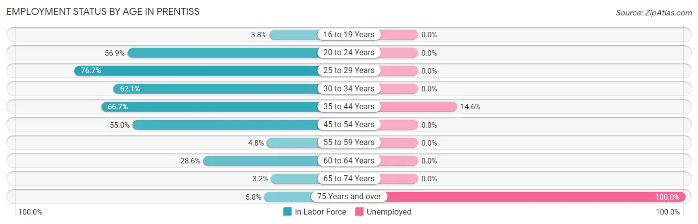 Employment Status by Age in Prentiss