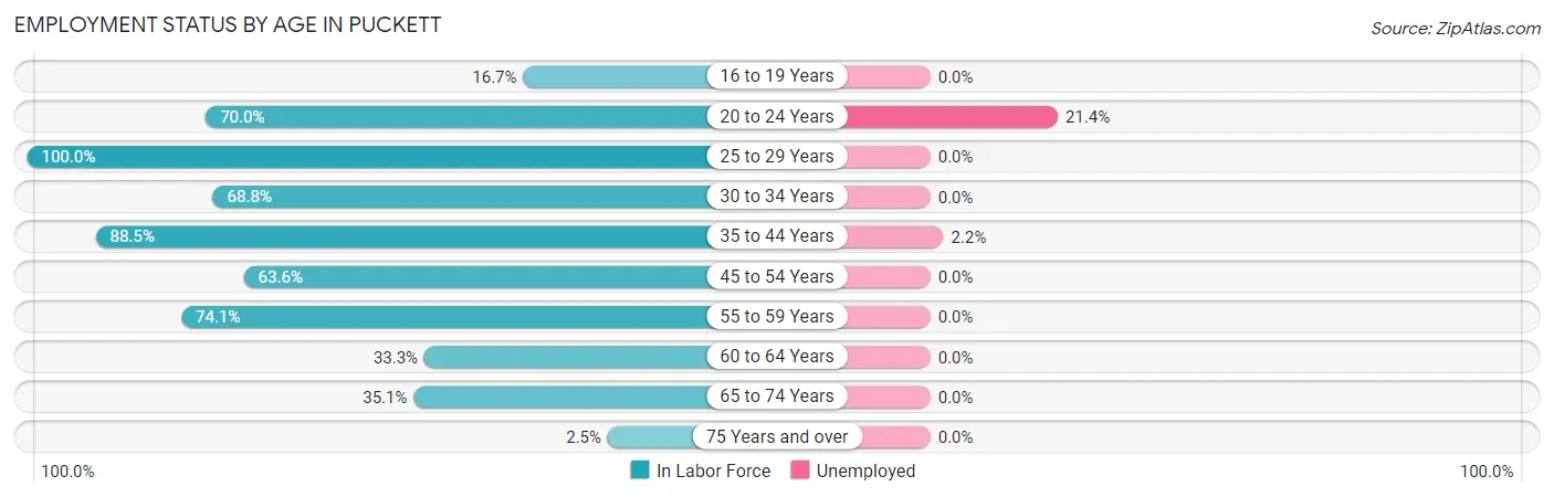 Employment Status by Age in Puckett