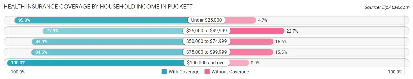 Health Insurance Coverage by Household Income in Puckett