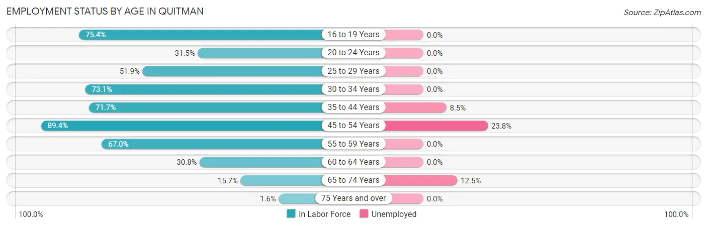 Employment Status by Age in Quitman