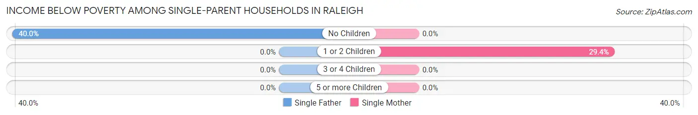 Income Below Poverty Among Single-Parent Households in Raleigh