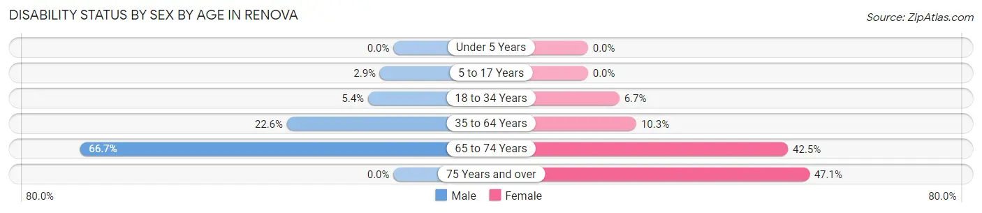 Disability Status by Sex by Age in Renova