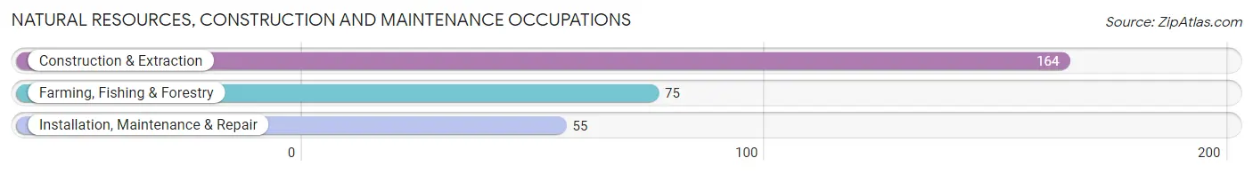 Natural Resources, Construction and Maintenance Occupations in Ripley