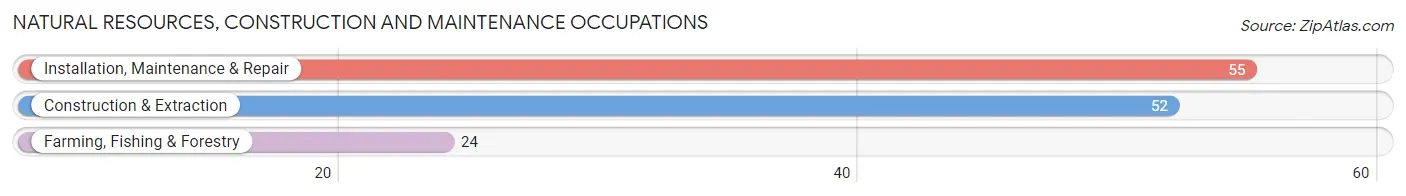 Natural Resources, Construction and Maintenance Occupations in Ruleville