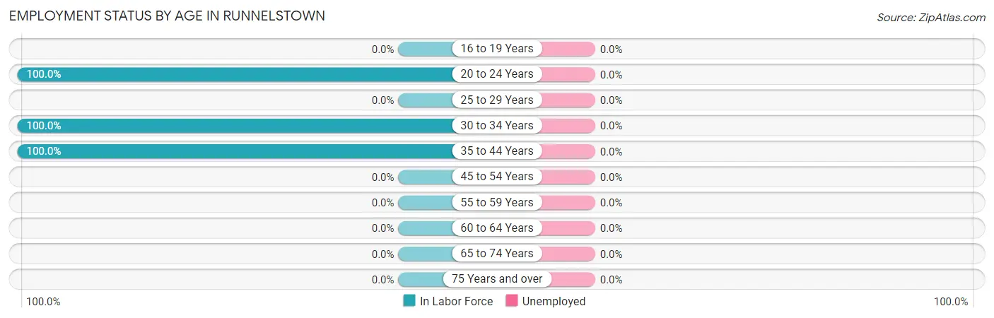 Employment Status by Age in Runnelstown