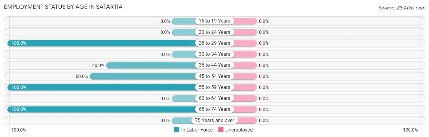Employment Status by Age in Satartia