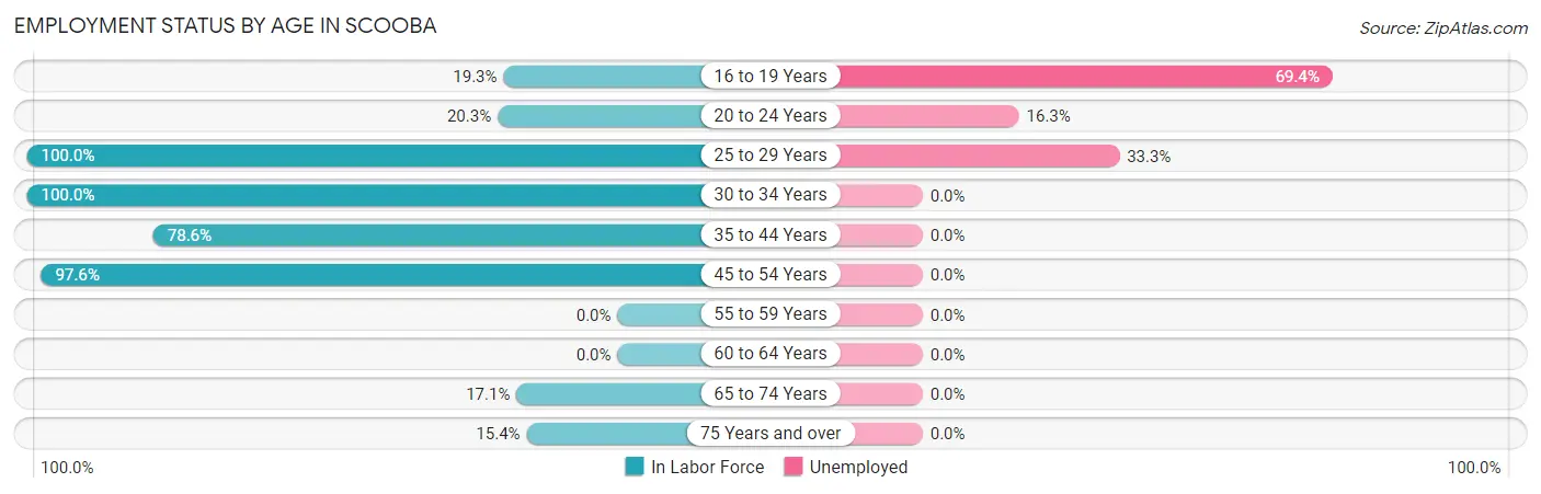 Employment Status by Age in Scooba
