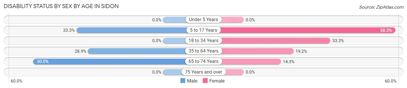 Disability Status by Sex by Age in Sidon