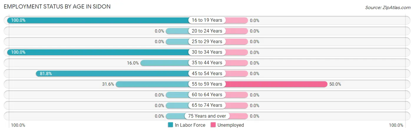 Employment Status by Age in Sidon
