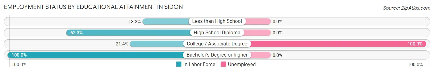 Employment Status by Educational Attainment in Sidon