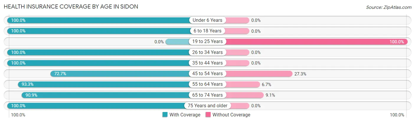 Health Insurance Coverage by Age in Sidon