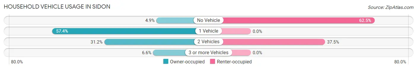 Household Vehicle Usage in Sidon