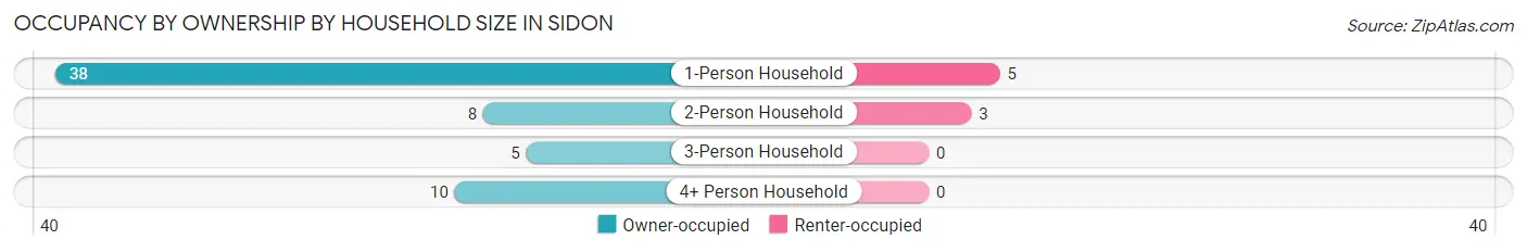 Occupancy by Ownership by Household Size in Sidon