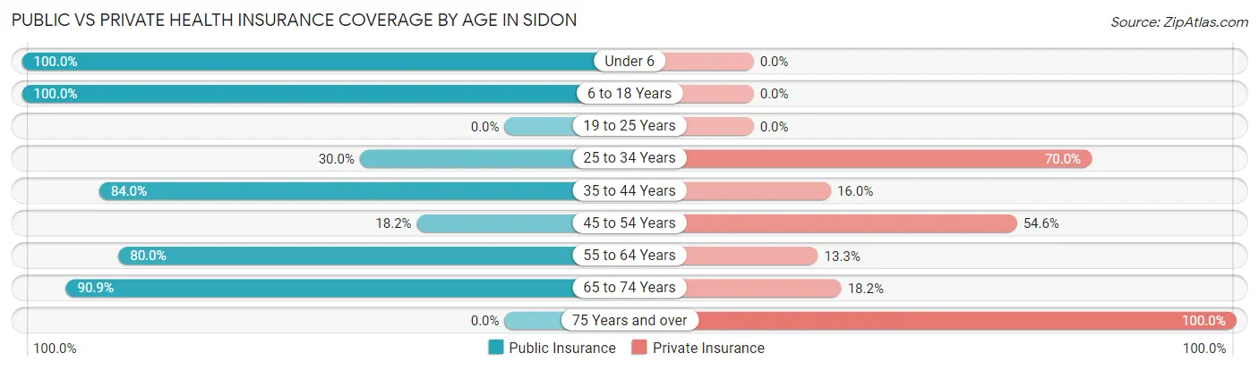 Public vs Private Health Insurance Coverage by Age in Sidon
