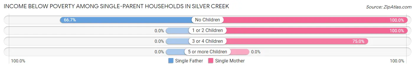 Income Below Poverty Among Single-Parent Households in Silver Creek