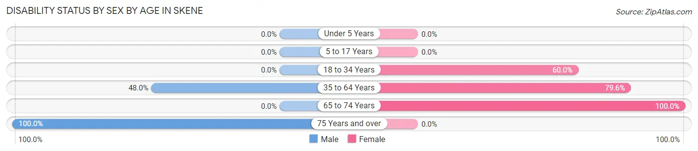 Disability Status by Sex by Age in Skene