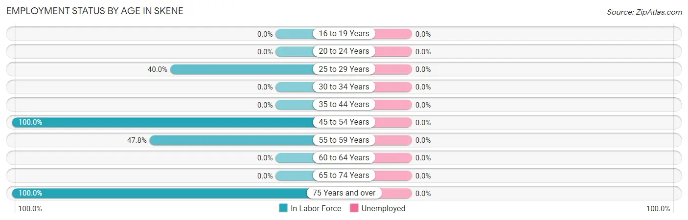 Employment Status by Age in Skene