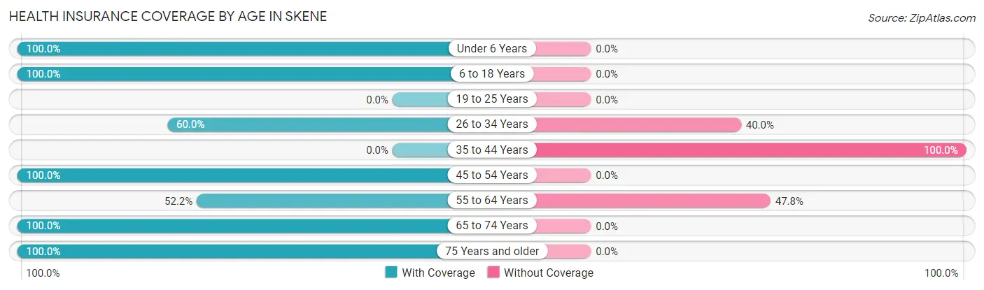 Health Insurance Coverage by Age in Skene