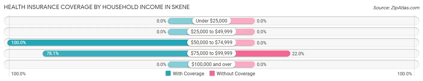 Health Insurance Coverage by Household Income in Skene