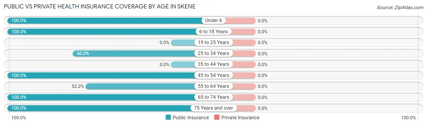 Public vs Private Health Insurance Coverage by Age in Skene