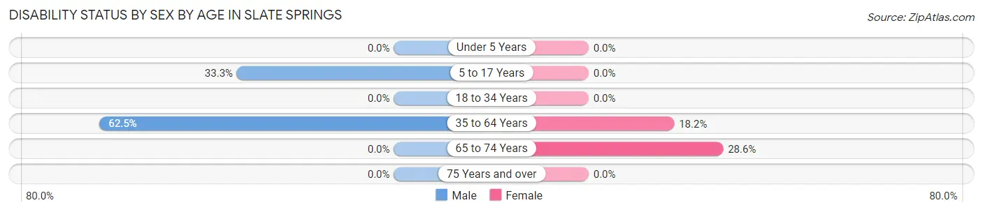 Disability Status by Sex by Age in Slate Springs