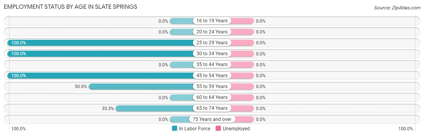 Employment Status by Age in Slate Springs