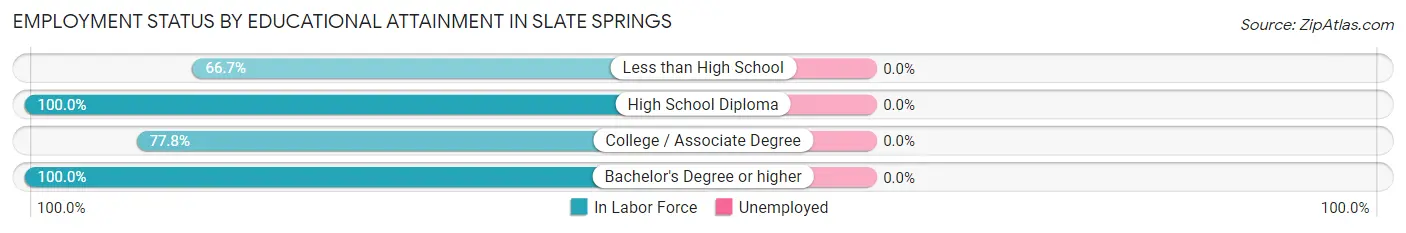 Employment Status by Educational Attainment in Slate Springs