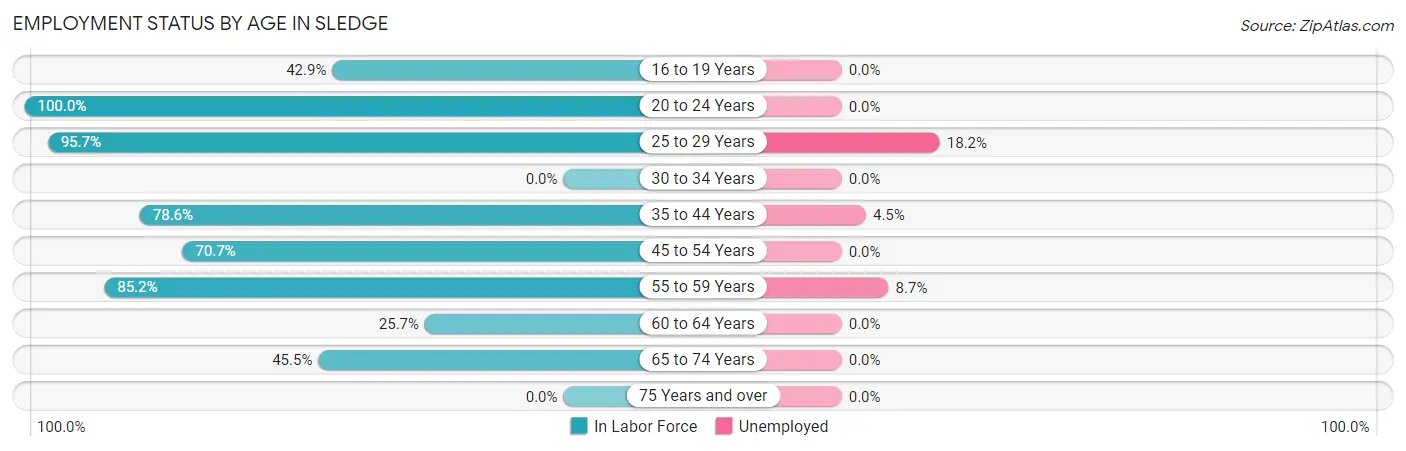 Employment Status by Age in Sledge