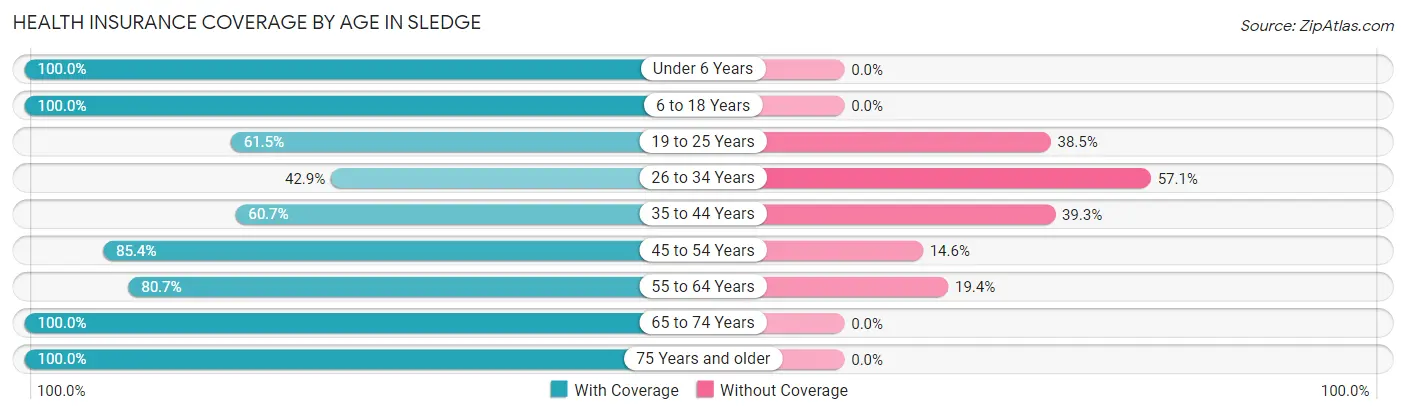 Health Insurance Coverage by Age in Sledge
