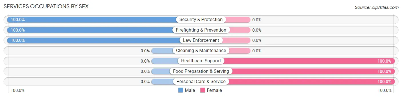 Services Occupations by Sex in Smithville