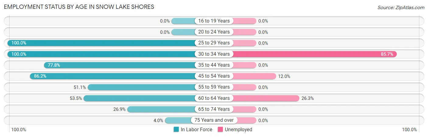 Employment Status by Age in Snow Lake Shores