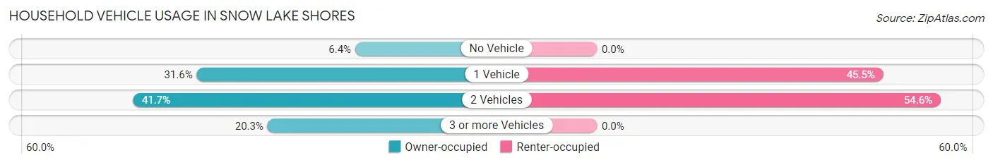 Household Vehicle Usage in Snow Lake Shores