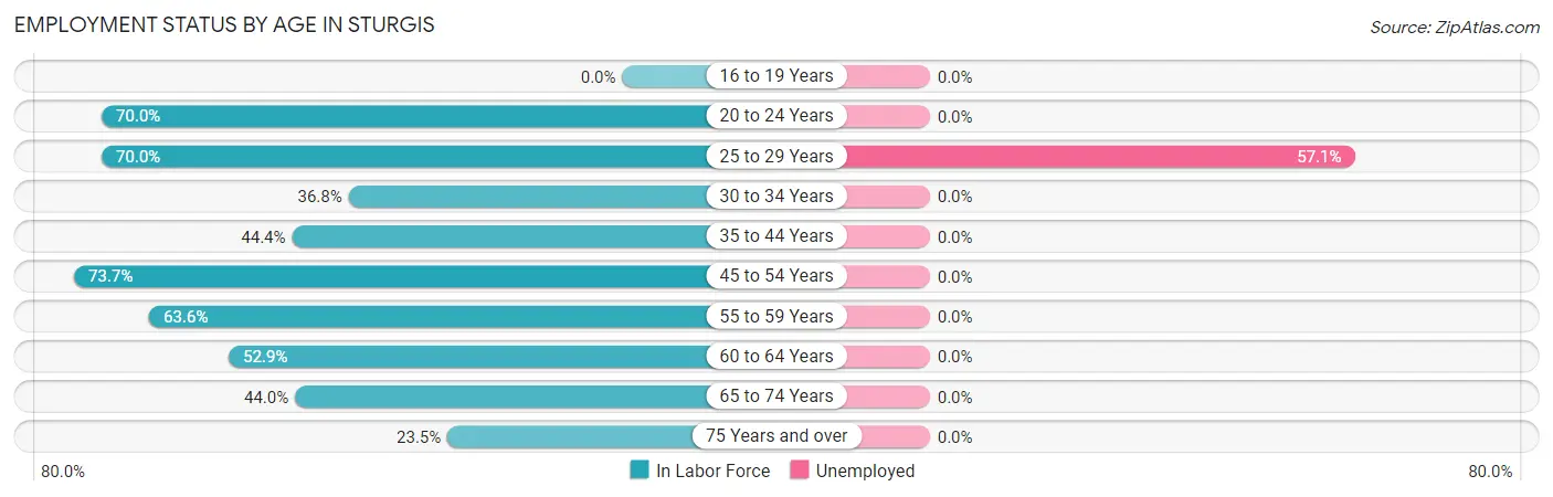 Employment Status by Age in Sturgis