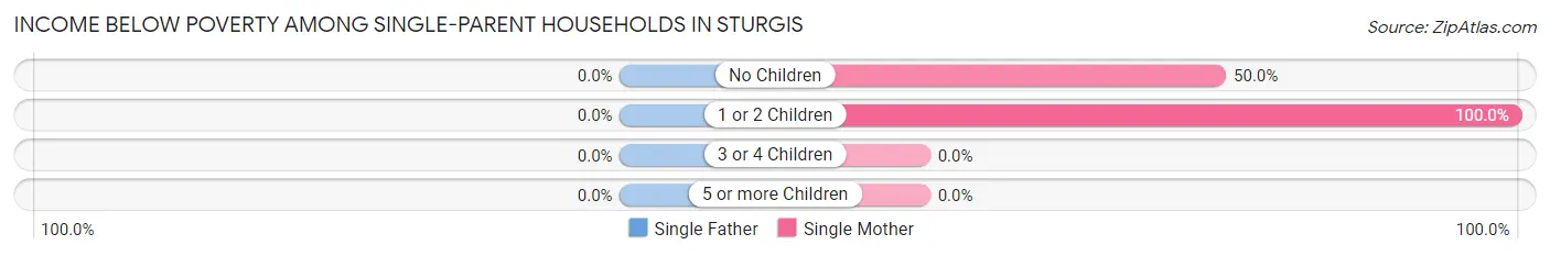 Income Below Poverty Among Single-Parent Households in Sturgis