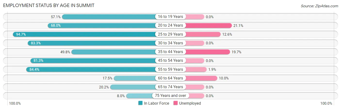 Employment Status by Age in Summit