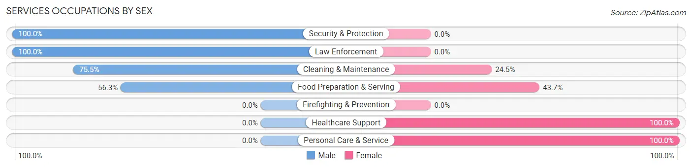 Services Occupations by Sex in Summit