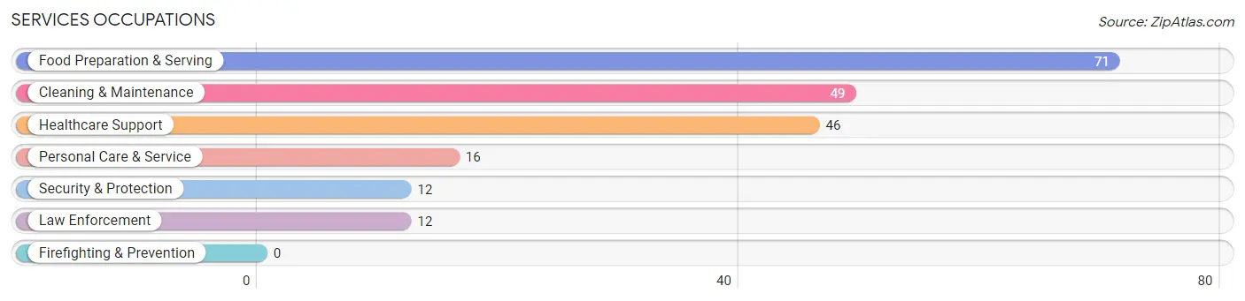 Services Occupations in Summit