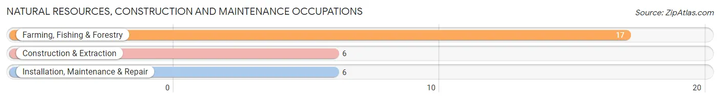 Natural Resources, Construction and Maintenance Occupations in Sumner