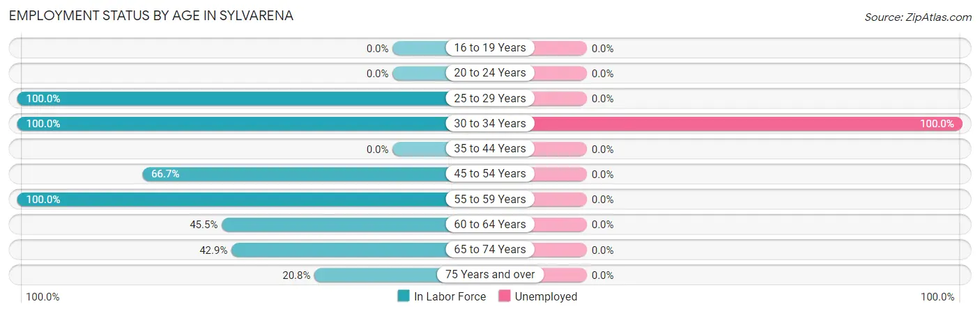 Employment Status by Age in Sylvarena
