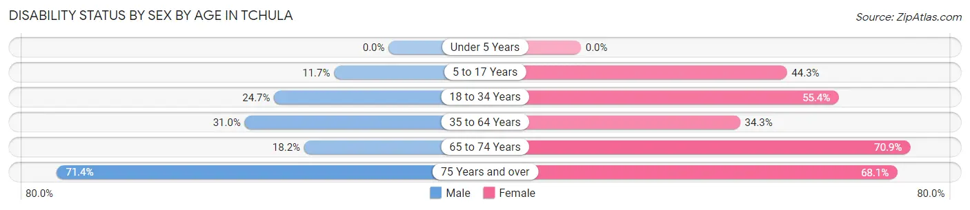 Disability Status by Sex by Age in Tchula