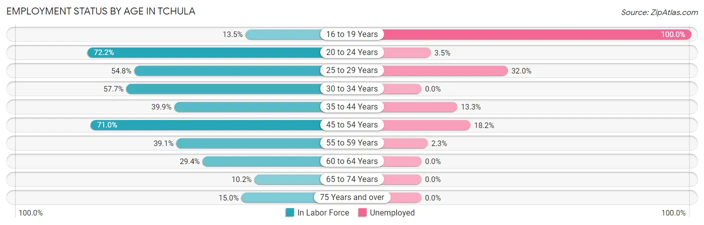 Employment Status by Age in Tchula